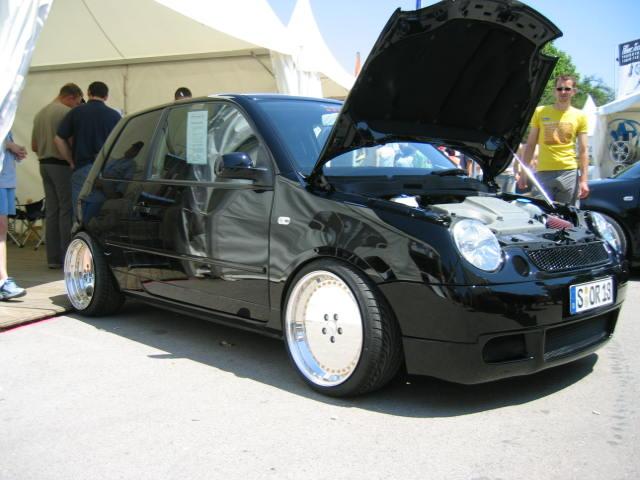 lupo04