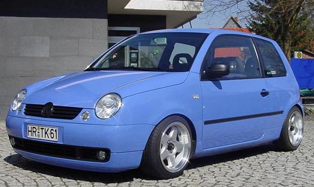 lupo06