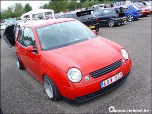 lupo 02