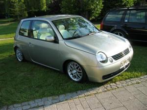 lupo 03