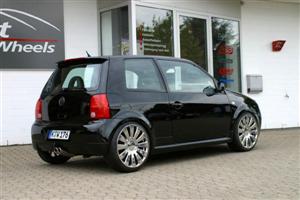 lupo 08