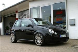 lupo 09