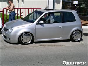 lupo 10