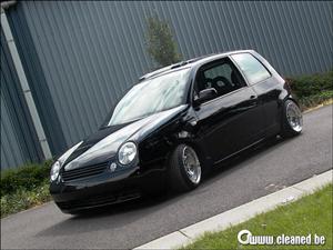 lupo 14