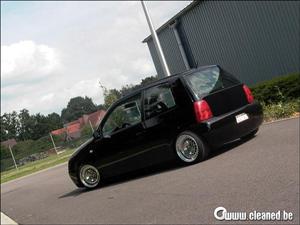 lupo 16