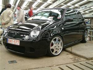 lupo 18