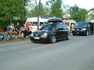 lupo 19