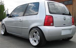 lupo 20