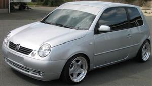 lupo 22