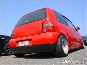 lupo 24