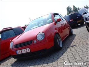 lupo 25