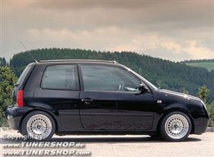 lupo 26