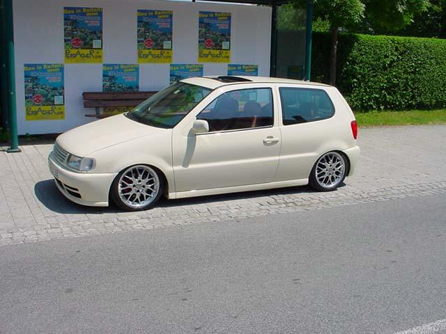 polo 6n03