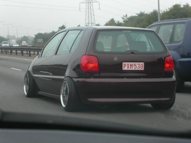 polo 6n16