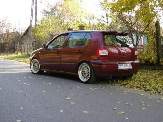 polo 6n19