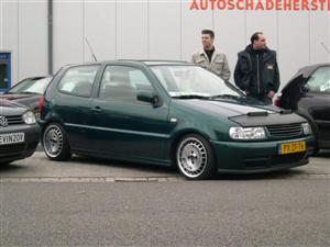 polo_6n 30