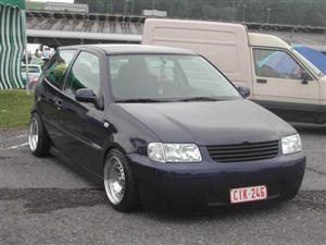 polo_6n 31